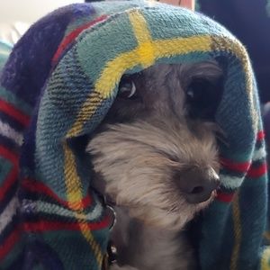 Meet your Posher, Raoul